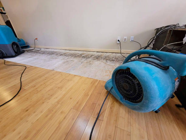 Professional Basement Flood Cleanup technician working in Blanchard, OK